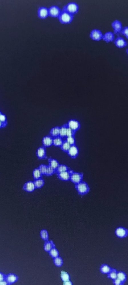 good morning 👋🏻