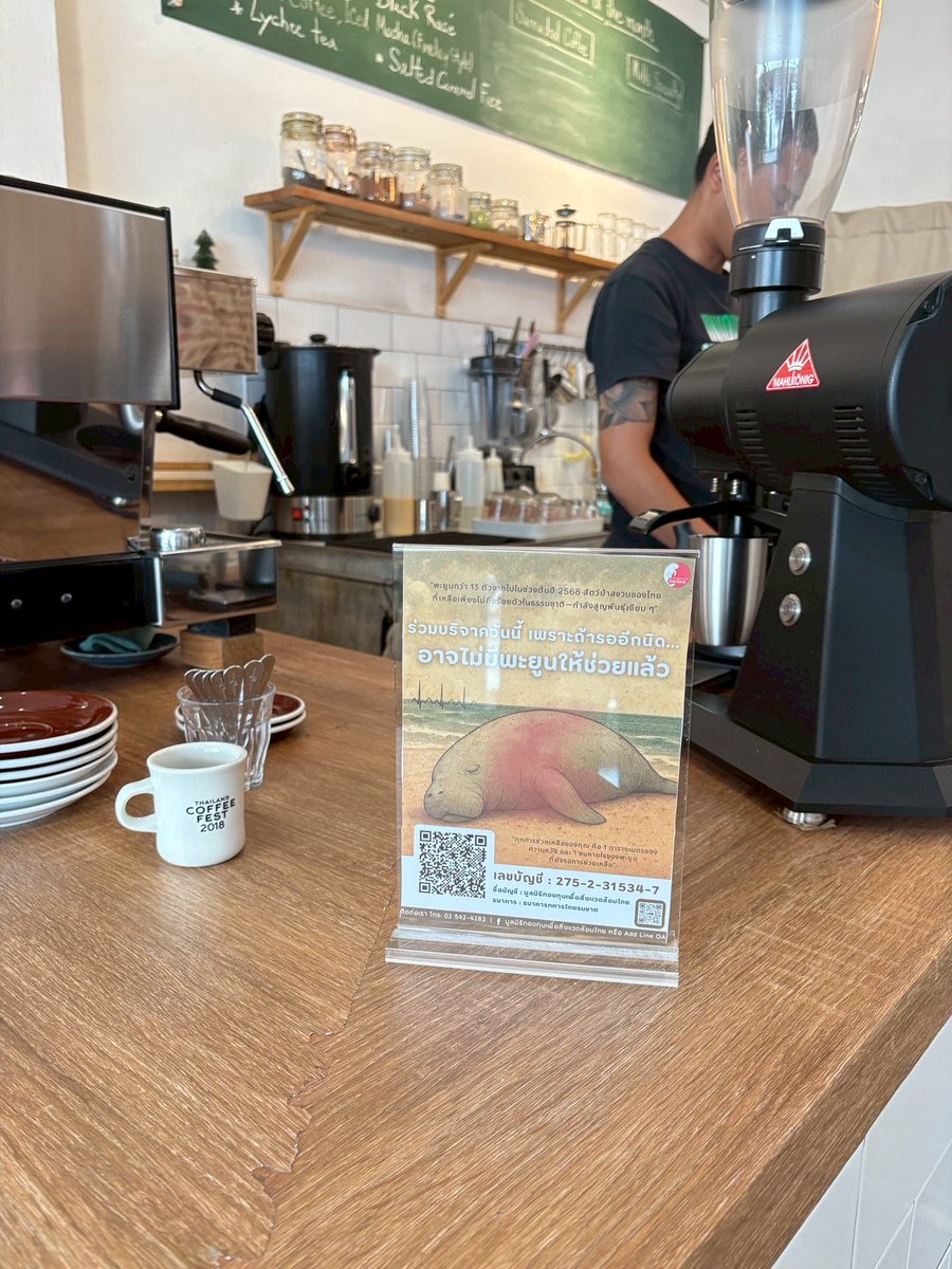 Envcorp_th's tweet image. Fineday Coffee 📷📷คาเฟ่บรรยากาศดี เป็นร้านเล็กๆ ที่ถ้าใครไม่สังเกตุจะมองทางเข้าไม่เจอ แต่บรรยากาศภายในร้านดีมากๆ มุมถ่ายรูปสวยมากๆ เครื่องดื่มคุณภาพเยี่ยม แต่ยังสนับสนุนกิจกรรมเพื่อสิ่งแวดล้อมอีกด้วยค่ะ #มูลนิธิกองทุนสิ่งแวดล้อมไทย #คาเฟ่จันทบุรี #dugongslivesmatter #chanthaburi