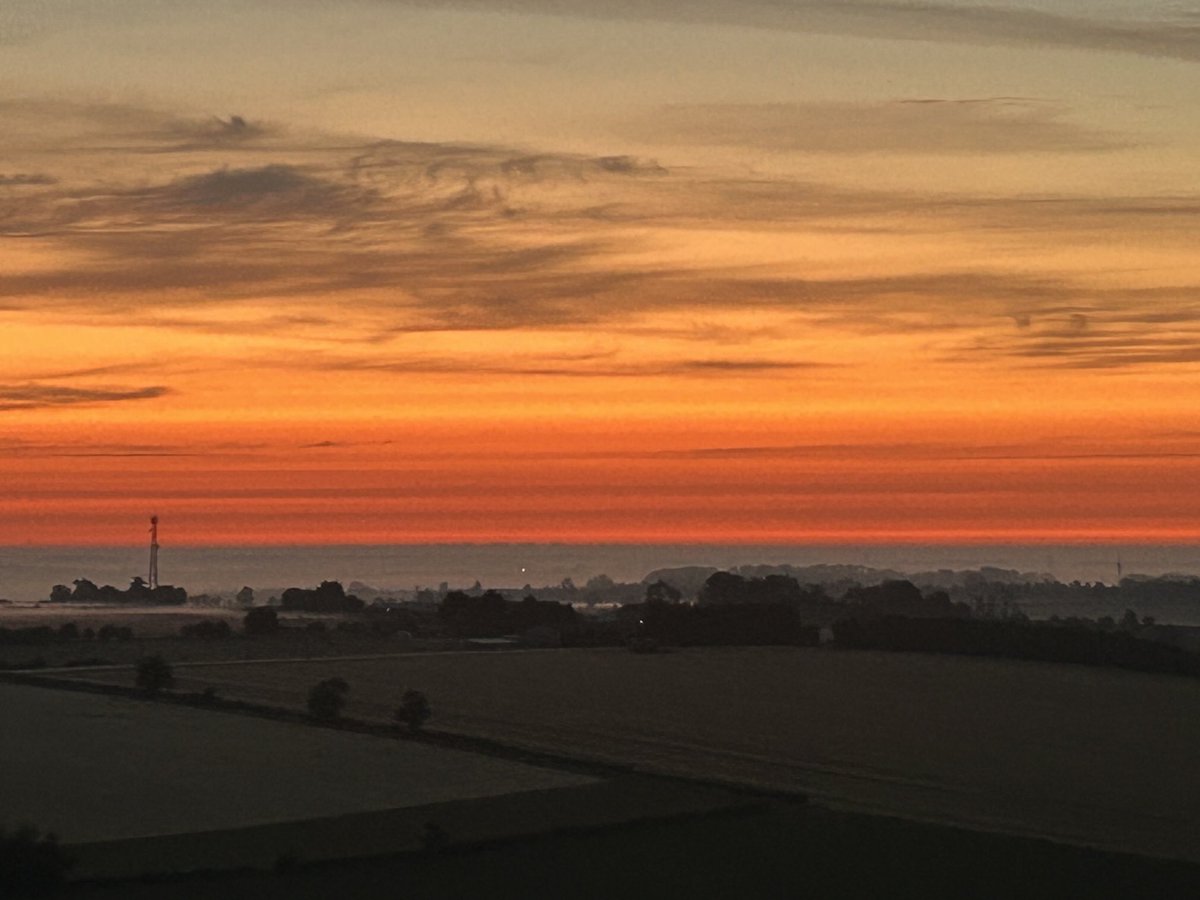 Stephen Pearce tweet media