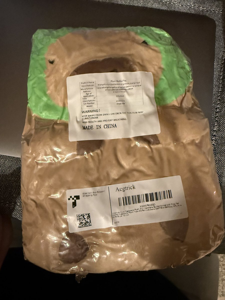 frognerfrogner's tweet photo. capybara dot zip https://t.co/0Ac83WuKXB