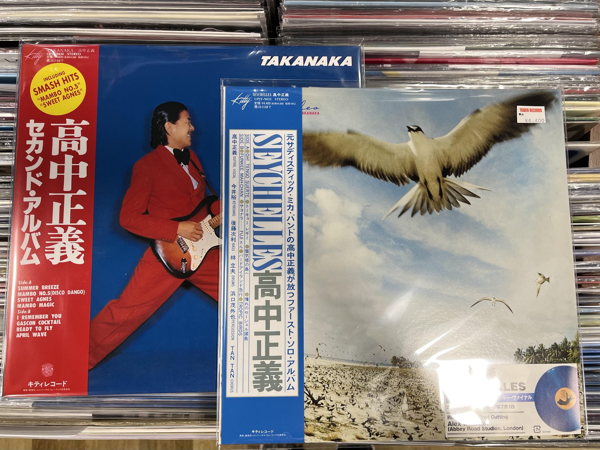 唐朝タン•ダイナスティー/唐朝/95年日本盤初版/未開封見本盤美品VICTOR LP 長与千種 ダンシン・ラヴ SJX30326 VICTOR /00260 - メルカリ