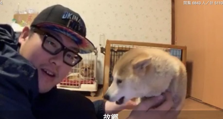 まめちゃん。 hq720.jpg?sqp=-