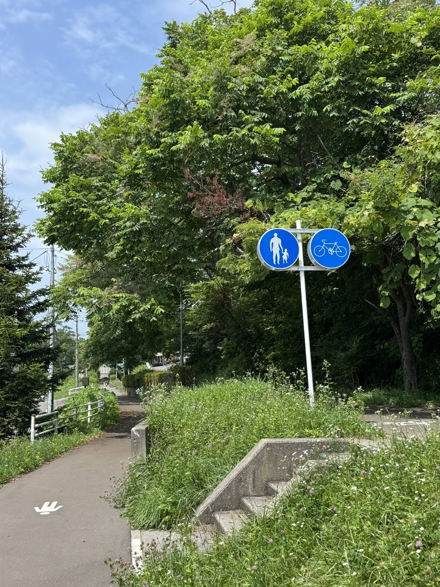 tsutsu111111's tweet image. 函館の皆様気をつけて!緑園通で毛虫が出始めています。昨年、函館で大量発生していたアメリカシロヒトリの毛虫のようでした。また湯川寺のさくらんぼの木も被害に遭い、葉が食べられてしまいました。通行する際は頭上等、気をつけてくださいね!