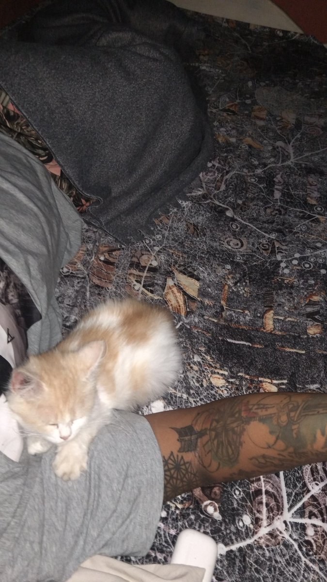 dxbwild4u's tweet photo. Cute tlga ng simba hahaha,prehas kameng clingy lol๐๐๐
#baguio
#furdaddy
#de-bolitas https://t.co/9Z7rRNDh45