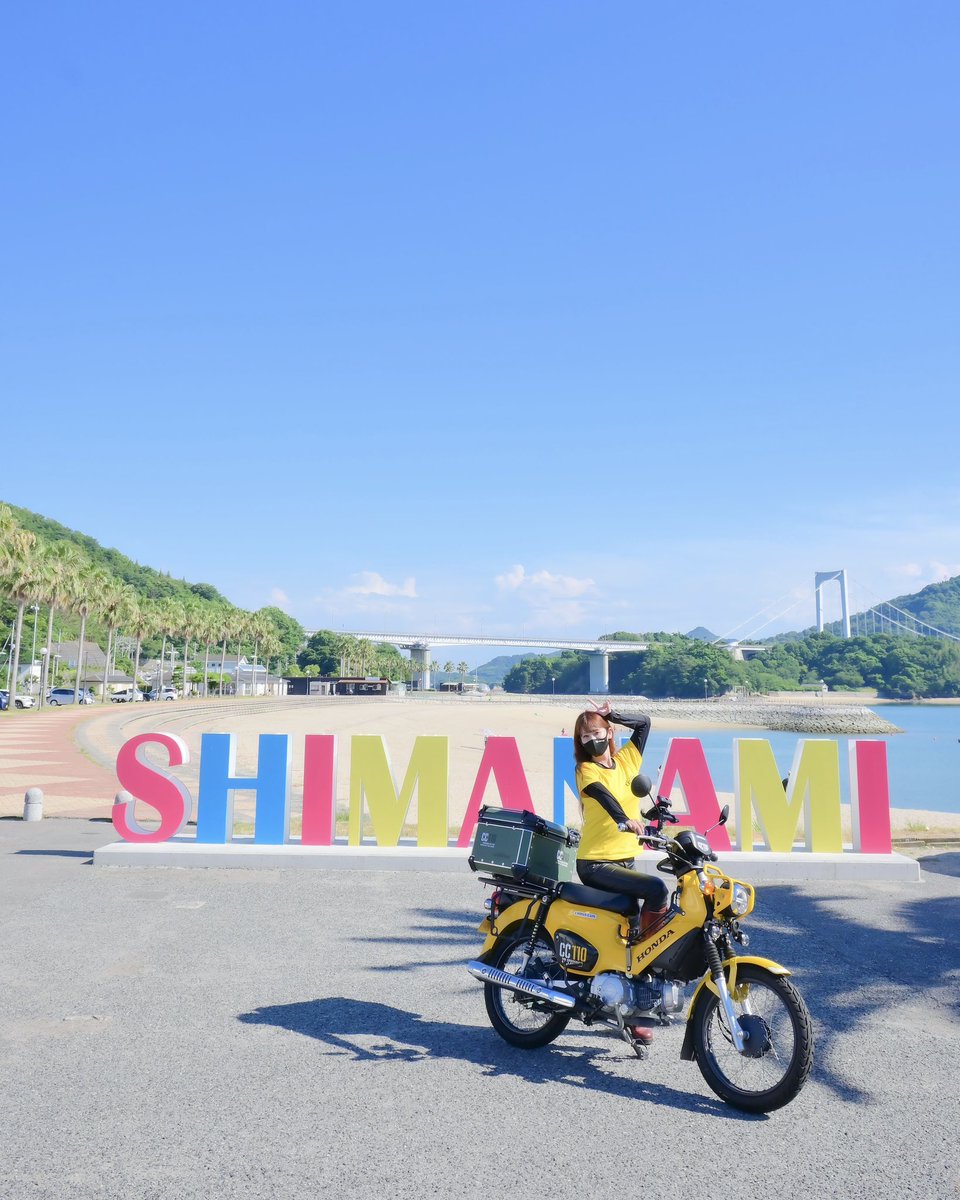 ネコちゃん photo 𝐒ちゃん🌸猫Photo Rider on X