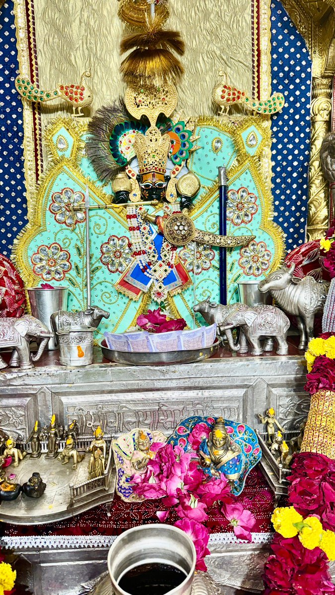 श्री सांवलिया सेठ की जय (आज के दर्शन) 17 जुलाई