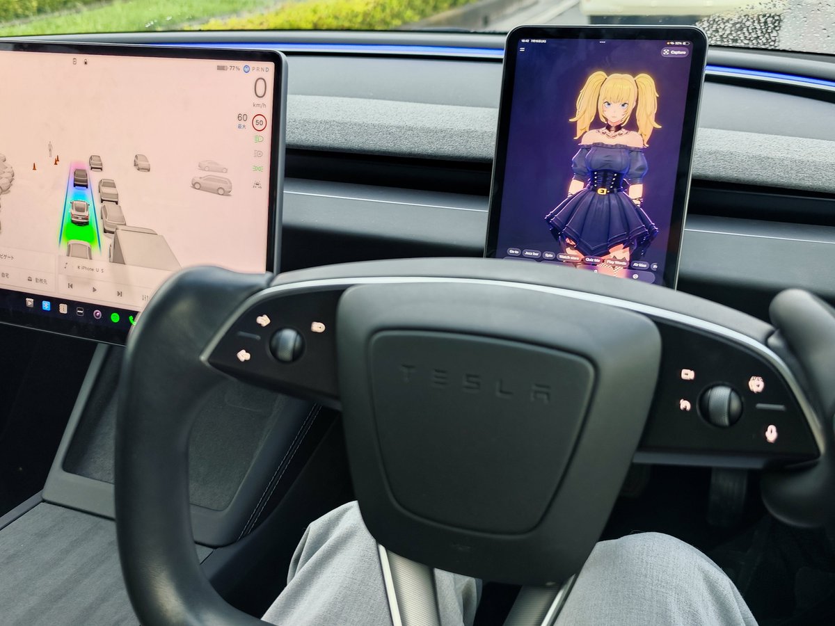 now imagine when $ani is in every tesla