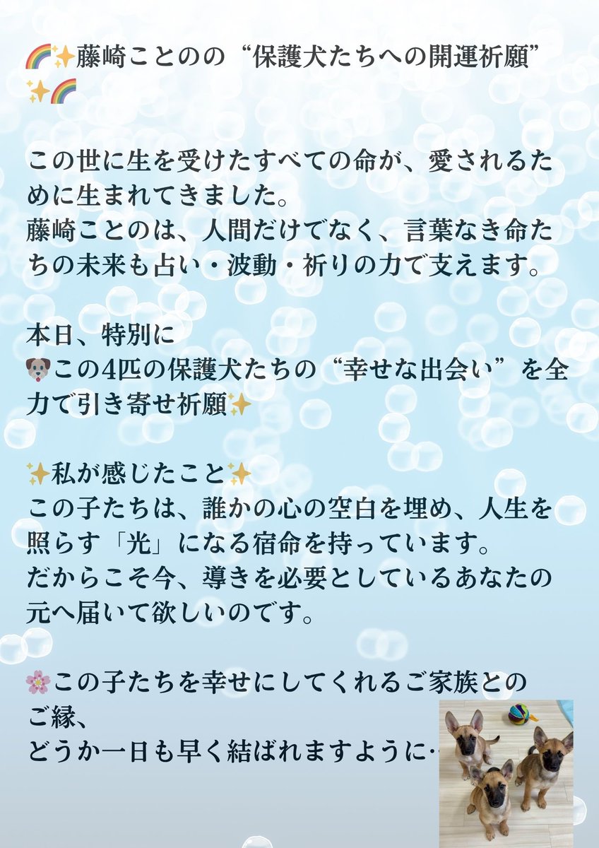 #開運 #引き寄せ #保護犬に愛を #藤崎ことの祈りの波動 #全ての命に祝福を