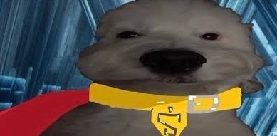 FapParaMoar's tweet photo. [🔴🥚] EL WE IS LIVE
🟣 Twitch / FapParaMoar

+ PLATICA BIEN TEMPRANA PERO INVERTIDO OSEA SI ES TEMPRANO PERO ES EL DIA OPUESTO
+ INTRO FORZADA CON MMDAS QUE PASAN Y HACIENDOME WEY NOMAS
+ JUEGANDO COSAS VARIEDADADAS COMO POR EJEMPLO Y TAMBIEN
+ TU CAELE Y MIRA WE https://t.co/Q5EtgR0ElG