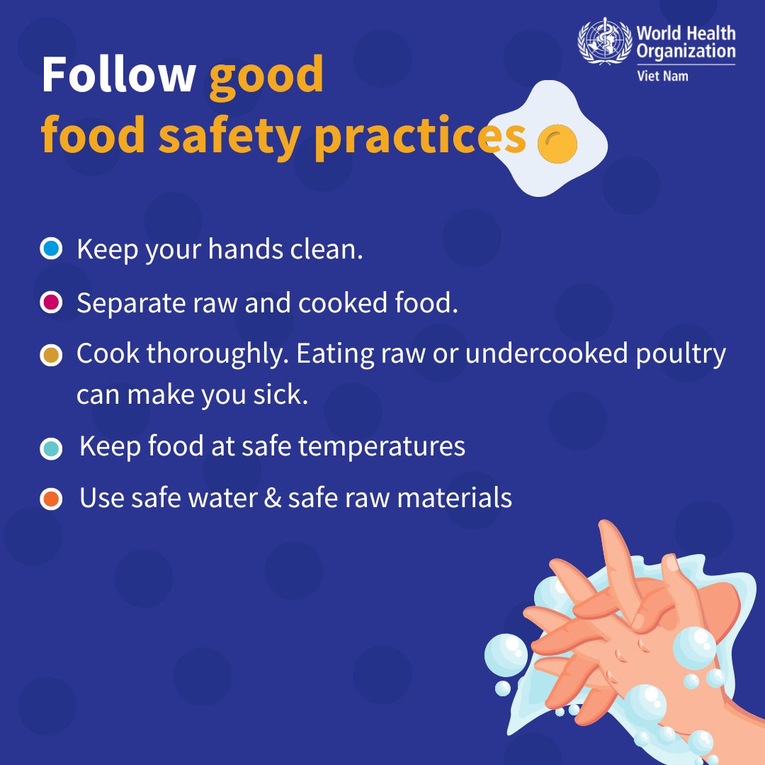 WHOVietnam's tweet image. #AvianInfluenza is not just a threat to poultry and birds – it can be transmitted to humans.
You are at more risk of #H5N1 if you have close contact with sick or dead poultry or birds, their saliva, mucous or droppings when handling, culling, slaughtering or processing them.…