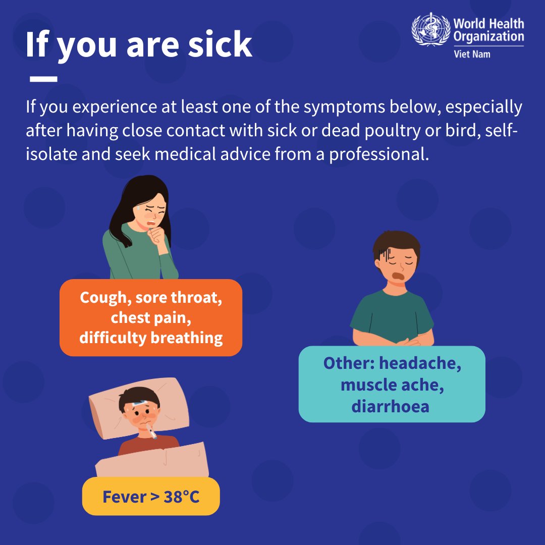 WHOVietnam's tweet image. #AvianInfluenza is not just a threat to poultry and birds – it can be transmitted to humans.
You are at more risk of #H5N1 if you have close contact with sick or dead poultry or birds, their saliva, mucous or droppings when handling, culling, slaughtering or processing them.…