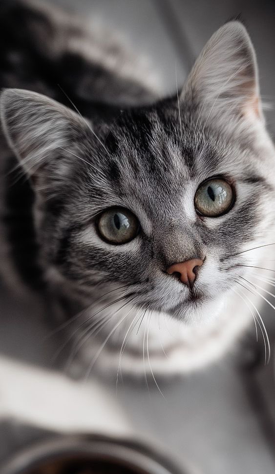 Günaydın     🩶🔆

            Güzel İnsanlar 🐳🦋