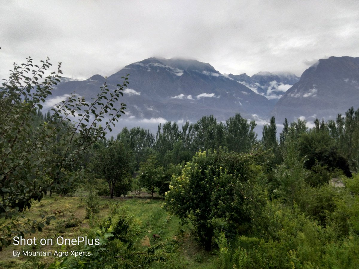 AgroXperts's tweet image. My view ...#Gilgit after rain.