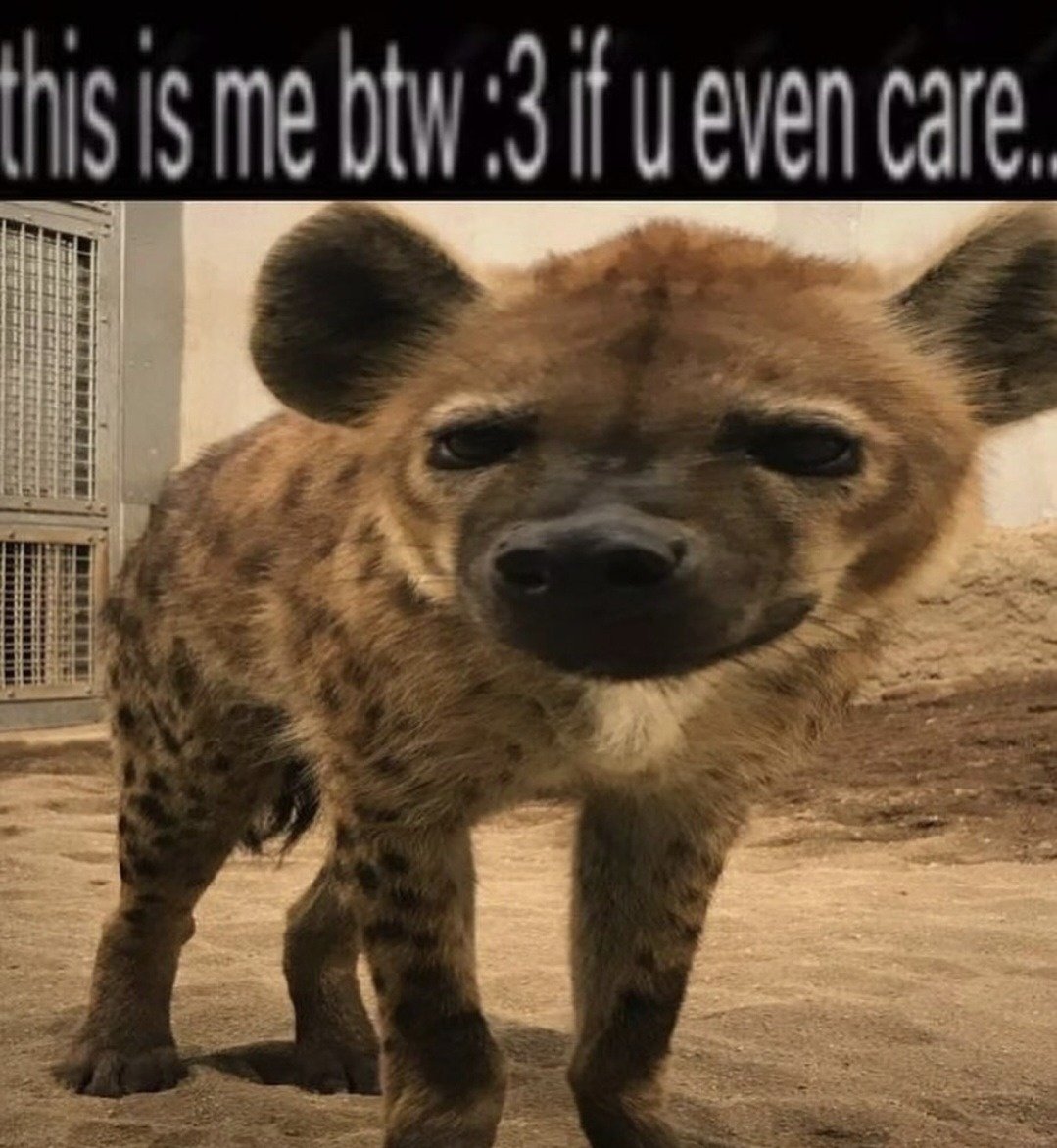 AlekYeeners's tweet image. i hope one day I can be smarter and not make so many dumb decisions. i dont wanna hurt anyone on accident. i always want to do good and be good. i never ever want to lose what i have, though, I hope im appreciated and worth somethin heh. all I ever have are good intentions.
