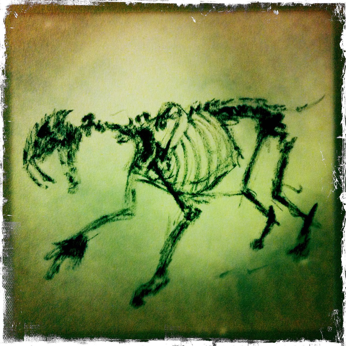 Distressed photograph of ink #sketch of #sabretoothcat remains at the LA Natural History Museum circa 2011. 

#art #artist #artwork #drawing #sketchbook #illustration