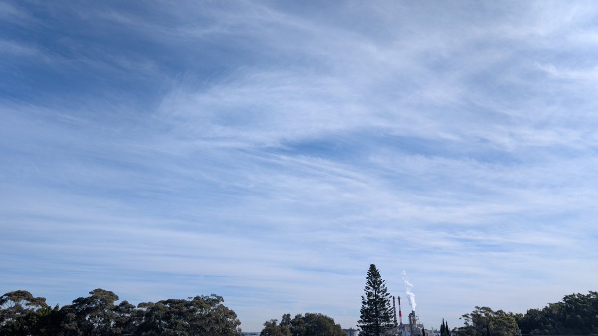higgins1112's tweet image. High altitude winds in Sydney today.
It was a chilly morning.
Showers tomorrow, apparently.
