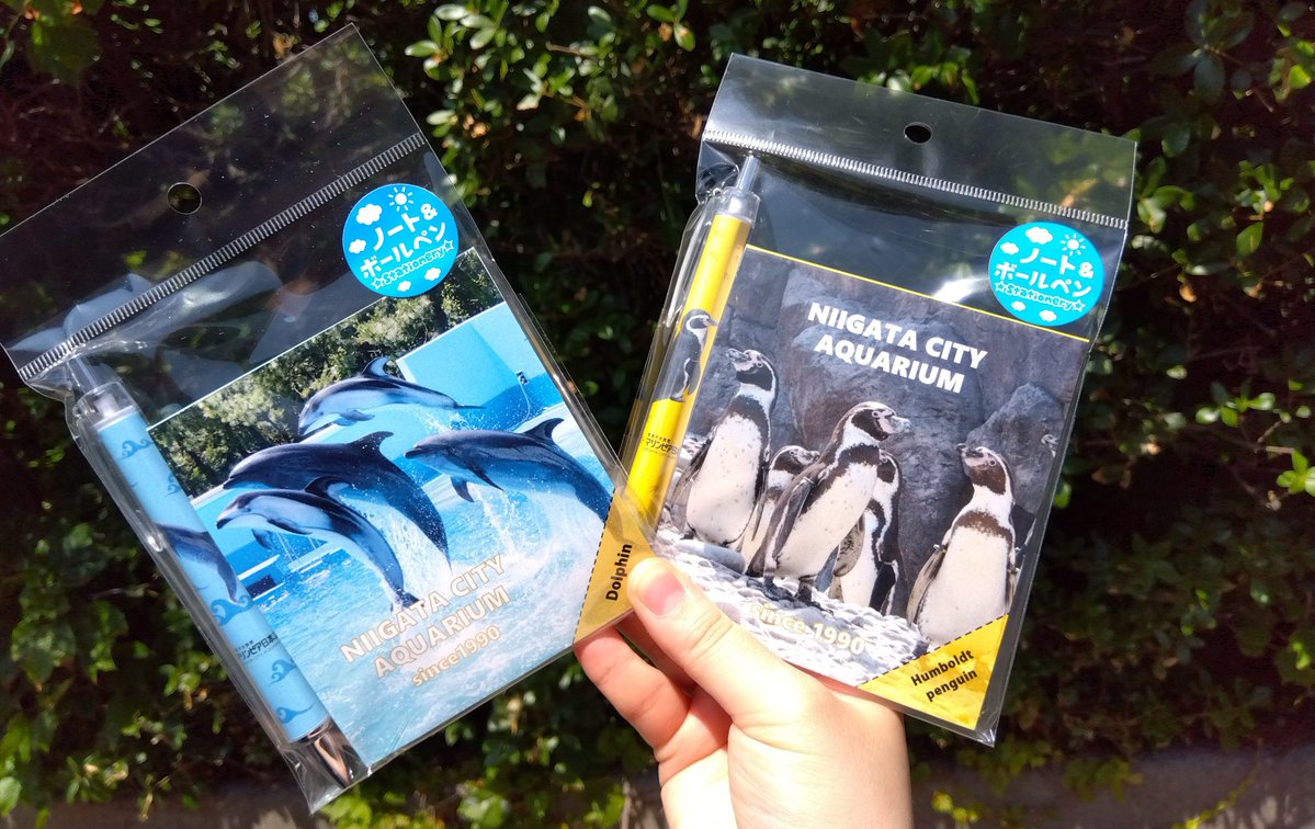 marinepiaheart's tweet image. ✨新発売✨
オリジナルノート&ボールペンセットが
新登場‼️
水しぶきや足跡など細部まで
こだわった商品となっております🐧
マリンピアに来た思い出を手元に残せる
素敵な商品です🐬
この機会をぜひお見逃しなく!
#マリンピア日本海
#オリジナル