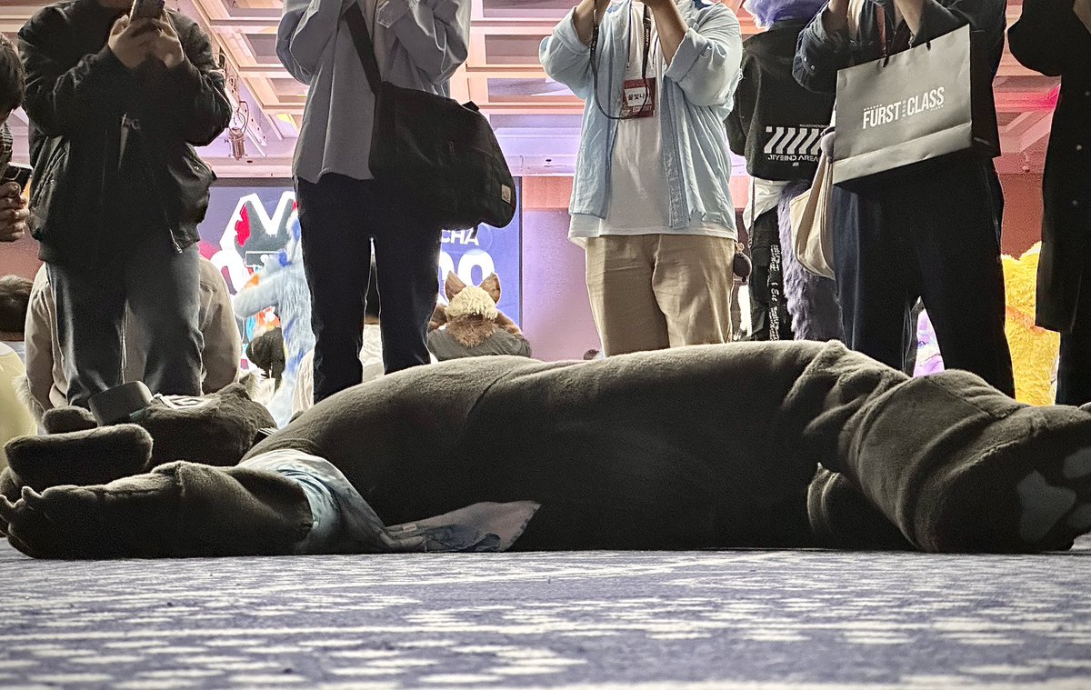 MoreFast15's tweet image. 😵‍💫Knockout!💫

#FURSTCLASS #FURSTCLASS2025