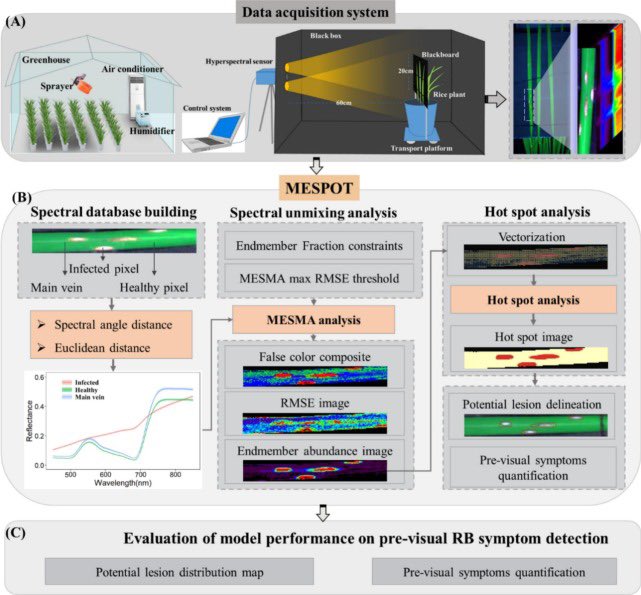 LongTian tweet media