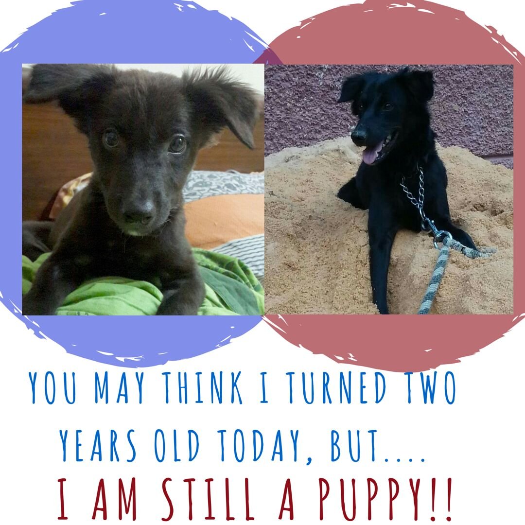 gaatha story गाथा स्टोरी tweet media