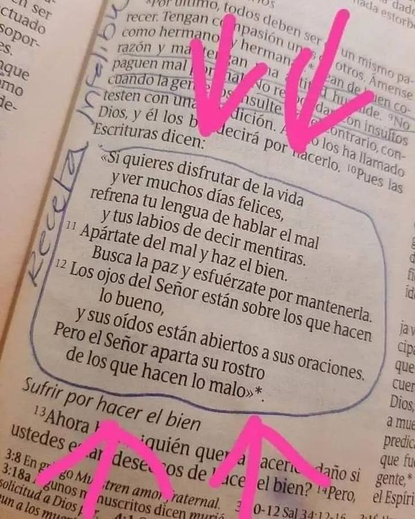 Esta página parece salida de un libro de hábitos, psicología y propósito.

Pero no lo es.

Es 1 Pedro 3:10–12.

La Biblia ya enseñaba desarrollo personal mucho antes que cualquier bestseller moderno.

Aquí te dejo 10 principios bíblicos que te pueden transformar: 🧵