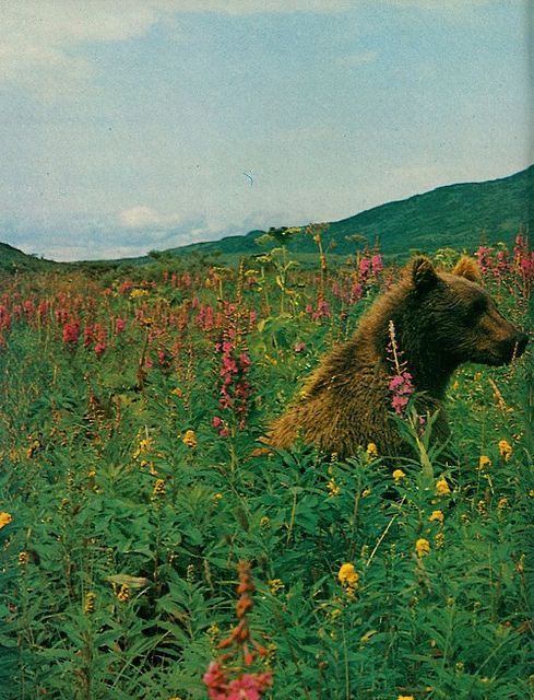 Gibran’s Ghost (@gibransghost) on Twitter photo 