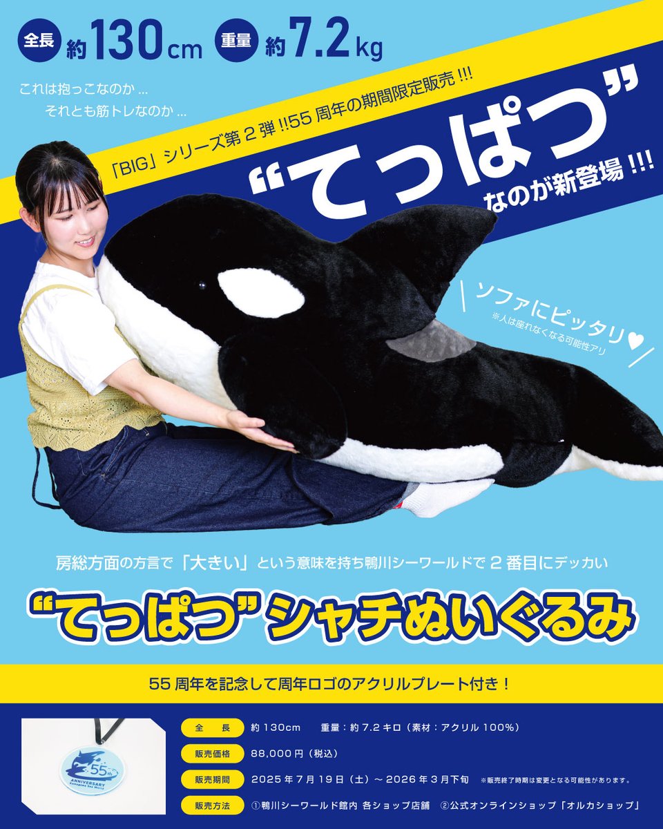 BIG」シリーズ第2弾「“てっぱつ”シャチぬいぐるみ」が遂に登場！ 今回