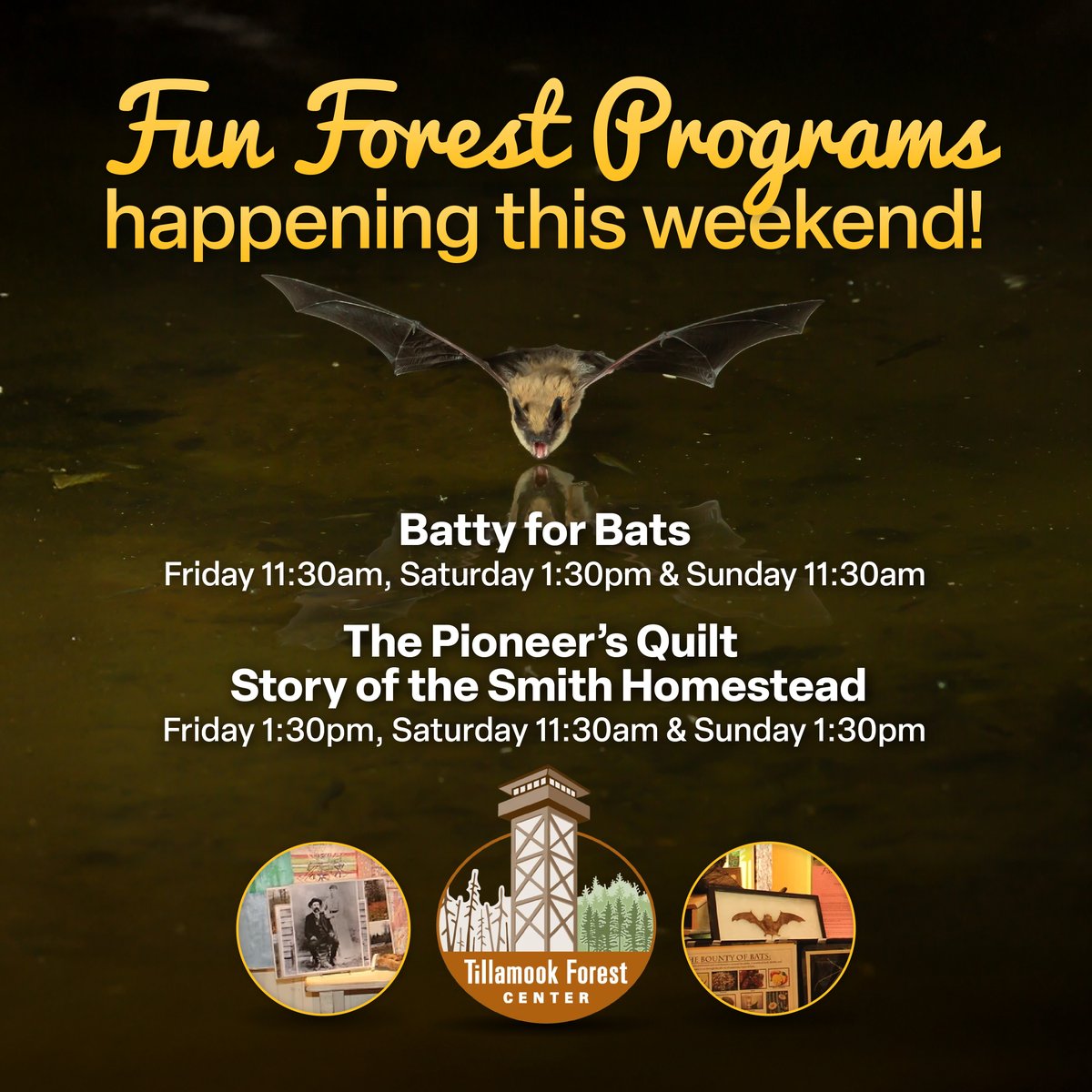 ORDeptForestry's tweet image. Spend your weekend at the Tillamook Forest Center with 2 engaging programs: Batty for Bats and The Pioneer’s Quilt: A Story of the Smith Homestead. These free events run Friday - Sunday and offer a fun way to learn about local wildlife and history. Info: tillamookforestcenter.com/events