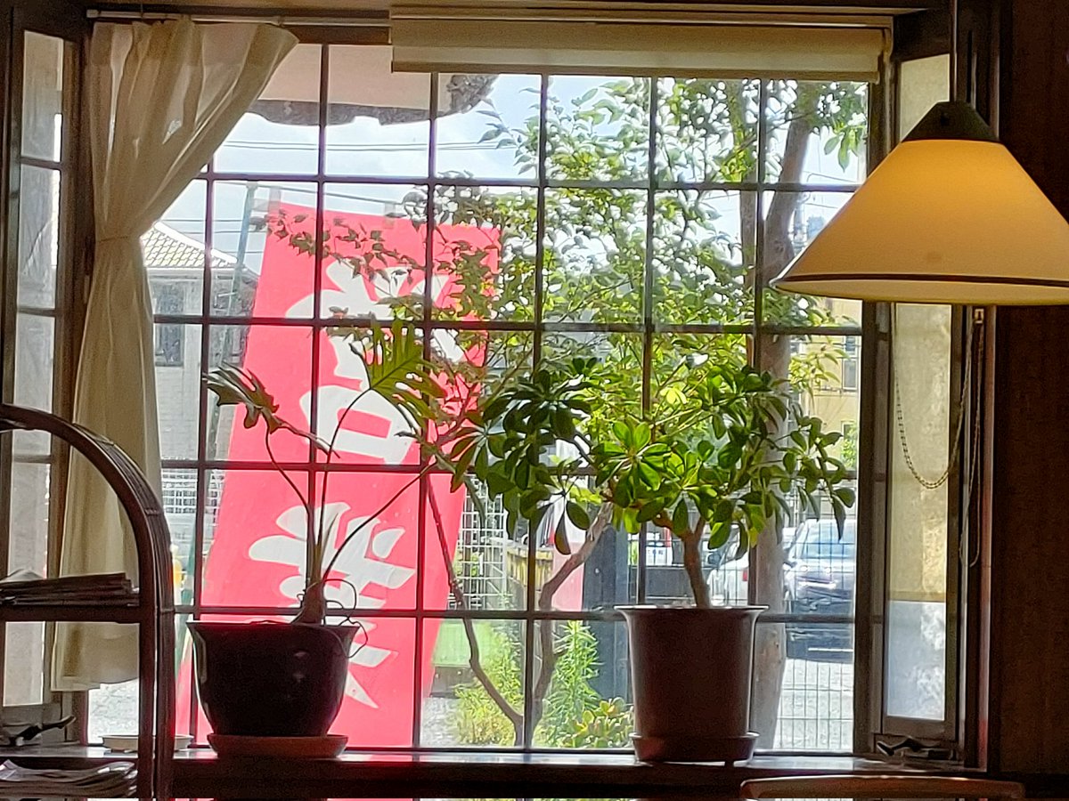 mimasuya_coffee's tweet photo. 眩しい陽射し🌞
雨はもうおしまい？
お洗濯物外へ出してもええかいな？ https://t.co/EXbpJGH4Q4