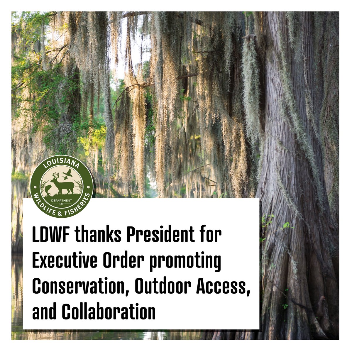 LaWildlife&Fisheries (@ldwf) on Twitter photo LDWF thanks President Trump for his bold leadership in creating the Make America Beautiful Again Commission, a welcome commitment toward restoration, conservation & accessibility of America’s public lands, waters and outdoor heritage. 👏 #MABA 
Details: buff.ly/Y5wPjrI LDWF thanks President Trump for his bold leadership in creating the Make America Beautiful Again Commission, a welcome commitment toward restoration, conservation & accessibility of America’s public lands, waters and outdoor heritage. 👏 #MABA 
Details: buff.ly/Y5wPjrI
