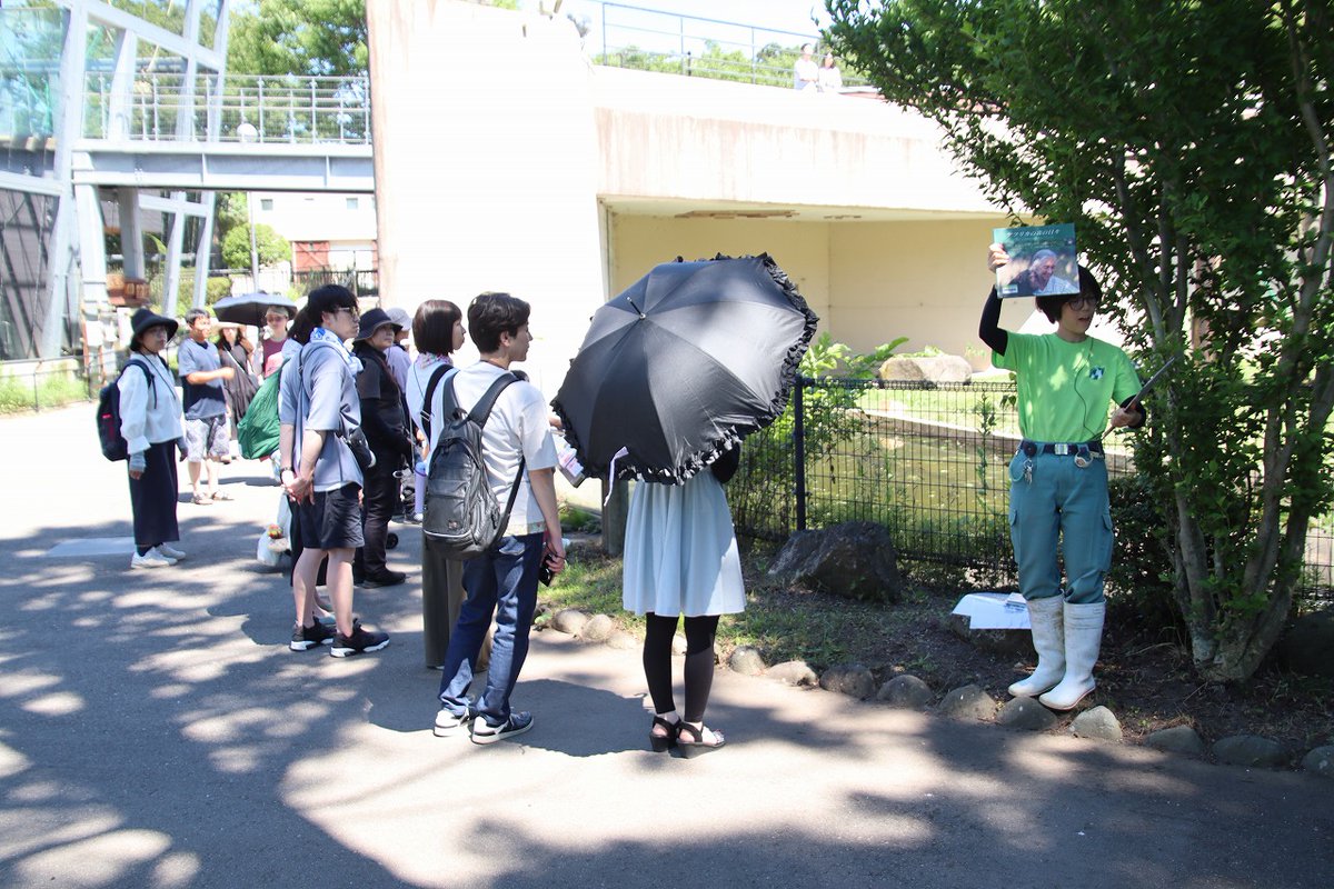 omoriyama_zoo's tweet image. 【世界チンパンジーの日特別イベントを開催】7月14日の「世界チンパンジーの日」にちなんで、13日に開催しました。4種類の箱に隠された好物をジェーンとボンタが食べる様子を見ながら、その特徴や生態を学びました。ボンタは器用にゆでたまごの殻だけ口から吐き出して食べていましたよ。