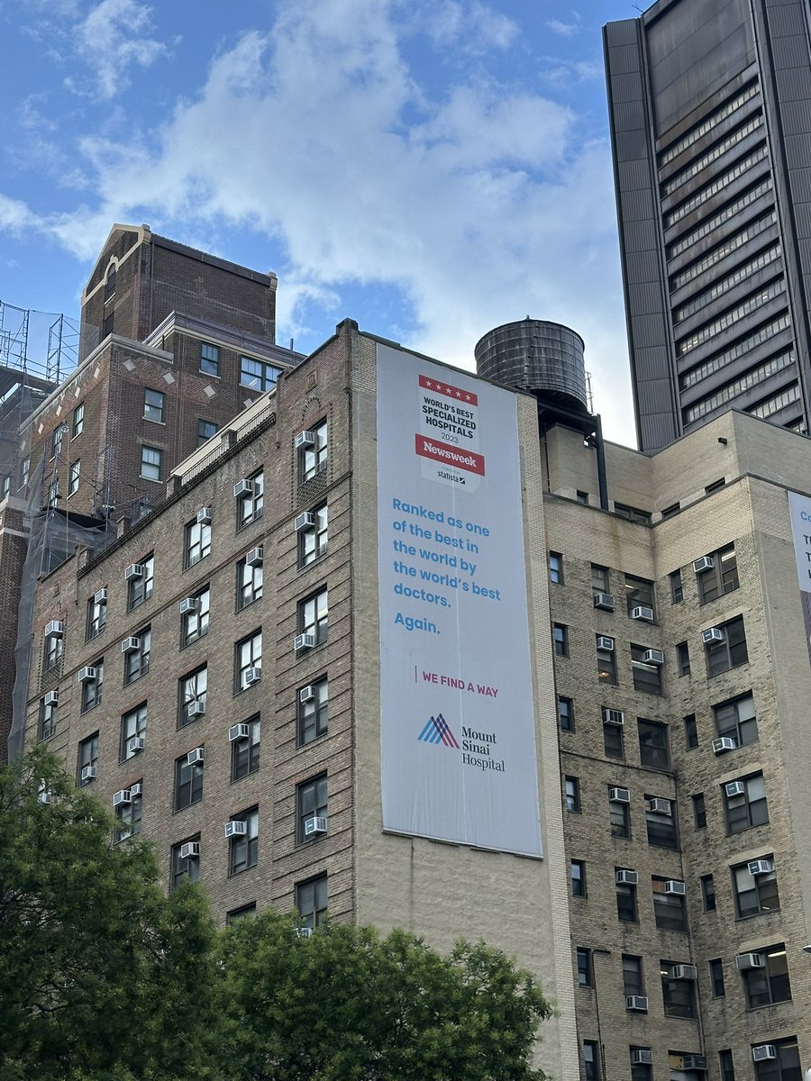 PavelPichardoMD's tweet image. I feel truly grateful and blessed for the opportunity to start my first clinical position as a #Neurosurgery Preresidency Fellow in New York. Forever thankful to my mentors for their support and excited for the work ahead! 🙏🏼✝️