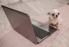 aGreenCan's tweet image. he got  left on read