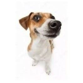 <a href="/SoyFarfadox/">Farfadox</a> jeje que onda dox tanto tiempo