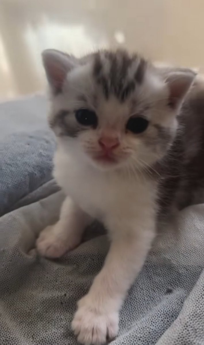 Complete the sentence:I love because