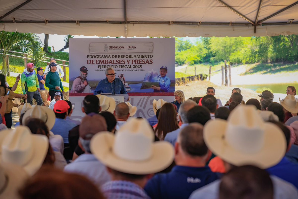 rochamoya_'s tweet image. Desde el primer día hemos estado cerca de quienes viven de la pesca.
Con el Programa de Repoblamiento 2025 sembramos 25 millones de alevines en presas y embalses de Sinaloa, beneficiando a más de 3,500 familias.
Hoy, junto a las y los pescadores de la zona de la Presa Picachos,…