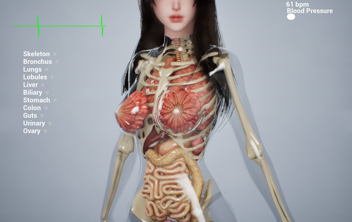 lunoxinn's tweet photo. 新バージョンをリリースしました！お待たせしてごめんなさい🙏🙏
New version released! Sorry for the delay everyone! 🙏🙏

#heartbeat #heart #xray #X線 #cardiophilia #cardiophile #心音 #心臓の音 #息止め #female #心フェチ #HeartBeatSimulator #hb #fastheartbeat #fast #fasthb #steth #stethoscope #stething #auscultation #vore #organs #anatomy #medicalfetish #xray #doctor #medical #심장박동 #심장 #심장애호가 #심장페티시 #심장박동페티시 #페티시