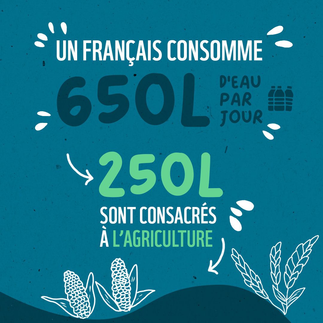 WWFFrance's tweet image. En période de canicule, chaque goutte compte.
Un·e Français·e consomme 650L d’eau/jour... dont 250L via l’#agriculture 🍽️
🌍 Nos choix alimentaires pèsent sur une ressource vitale, ici et ailleurs.

📢 Il est urgent de repenser notre modèle !
🔗Notre rapport :…