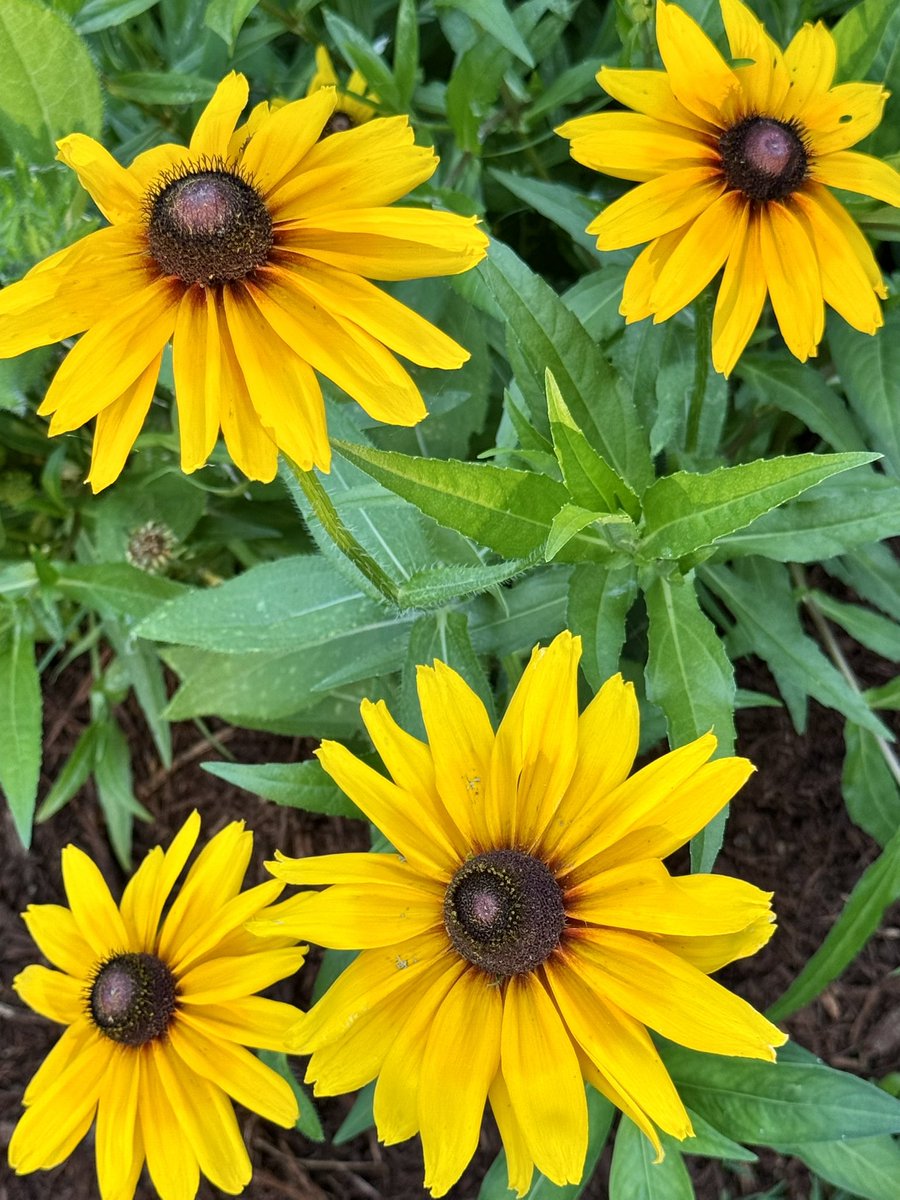 Collabor8tor's tweet image. 