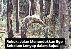 Rukuk: Jalan Menundukkan Ego Sebelum Lenyap dalam Sujud

Shalat adalah perjalanan ruhani bertahap. Saat berdiri tegak, engkau hadir sebagai hamba yang berani menghadap Tuhannya. 

Rukuk bukan sekadar gerakan fisik menundukkan badan. Ia adalah isyarat batin, pelajaran tentang