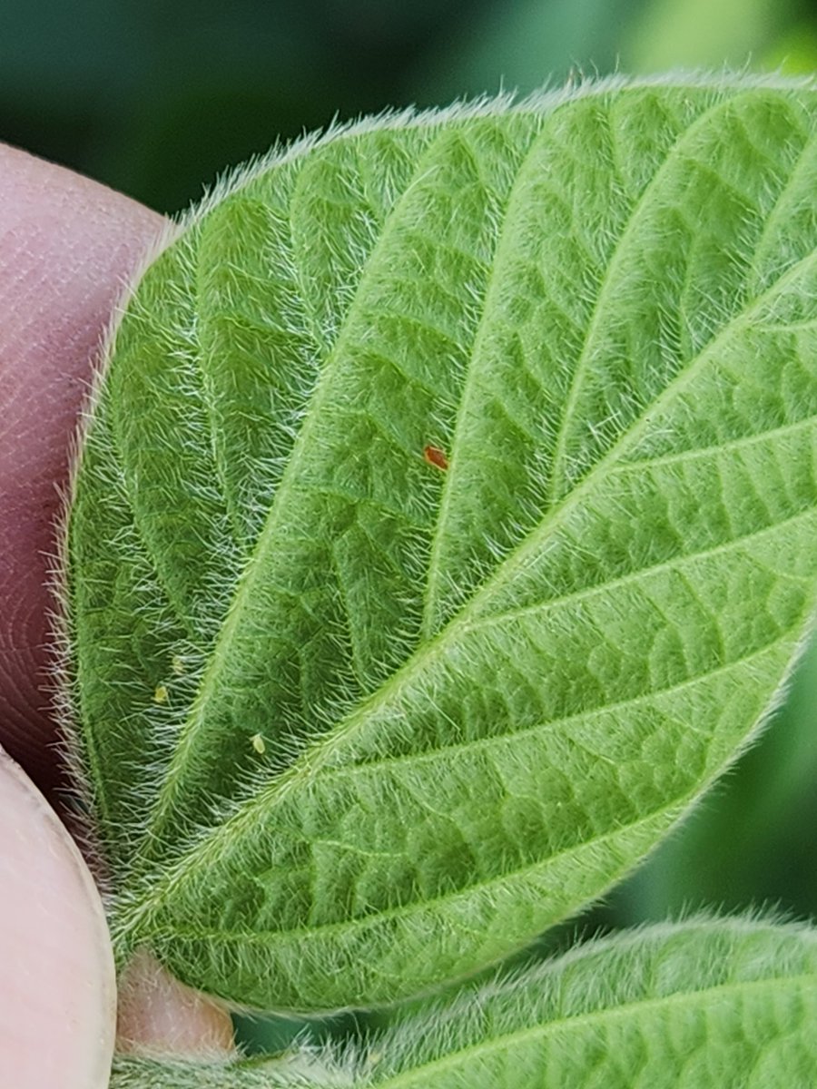 Bruce Potter tweet media