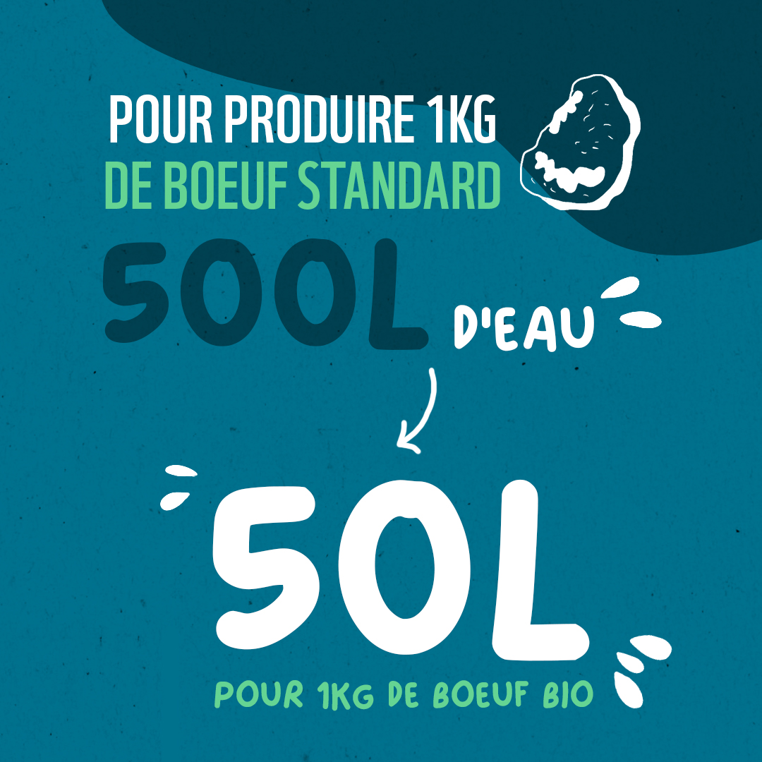 WWFFrance's tweet image. 🥩 1 kg de bœuf conventionnel = 500L d’eau
🌱 1 kg de bœuf bio nourri à l’herbe = 50L
C’est 10 fois moins d’eau pour une viande plus résiliente. 💧

Changer nos modes de production, c’est possible. Et vital. Nos solutions : wwf.fr/projets/incite…