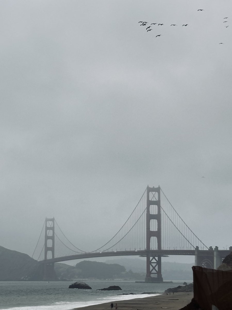NXS_BladeRunner's tweet image. [ As the Fog Lifts ]
