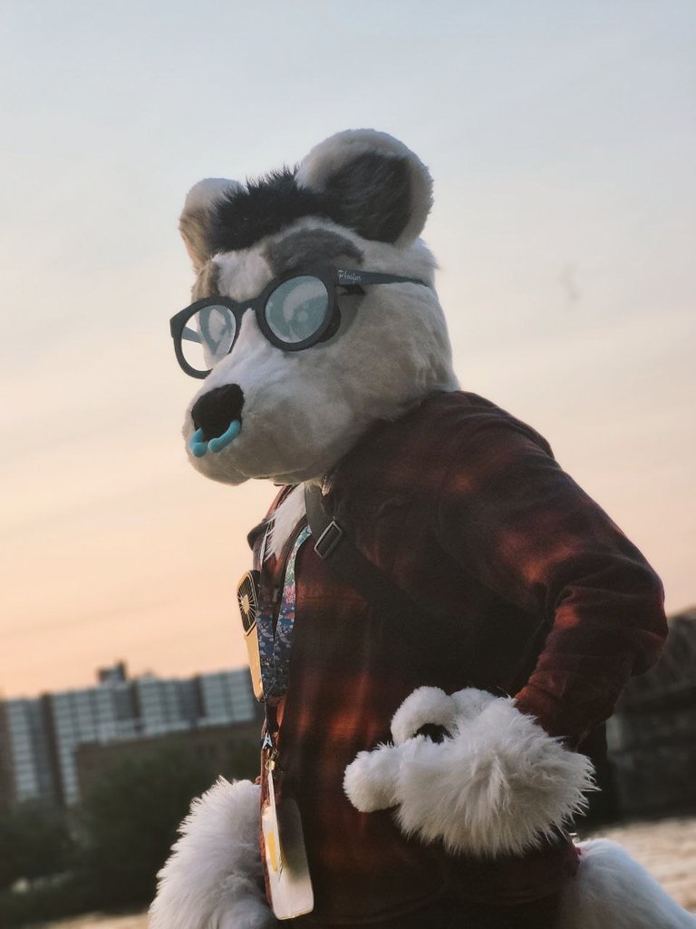 Golden hour~ ✨🌄

#anthrocon2025 #furry