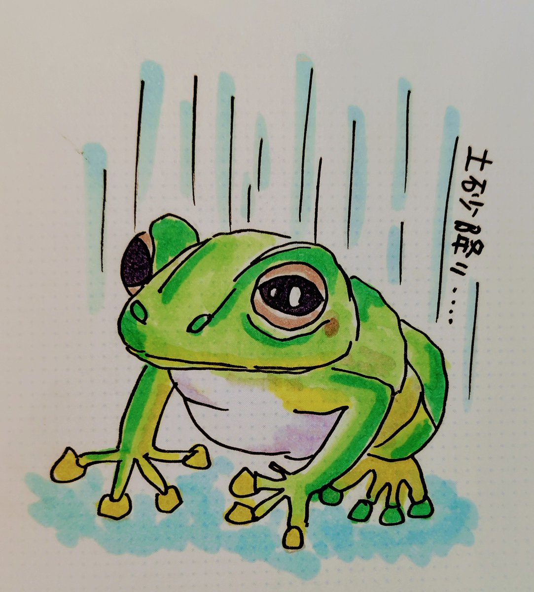 marujiroart's tweet image. 降ると土砂降り⛈️

#土砂降り
#線状降水帯
#カエル
#雨
#カエルのイラスト
#ゆるいイラスト #みんなで楽しむTwitter展覧会 #芸術同盟  #つぶやき  #落書き #ドゥードゥル #doodle