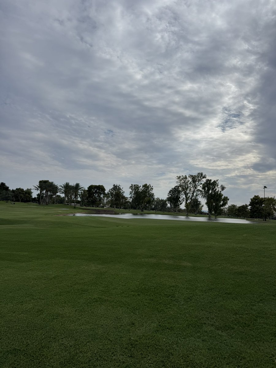 kempton_timothy's tweet image. 86 degrees
