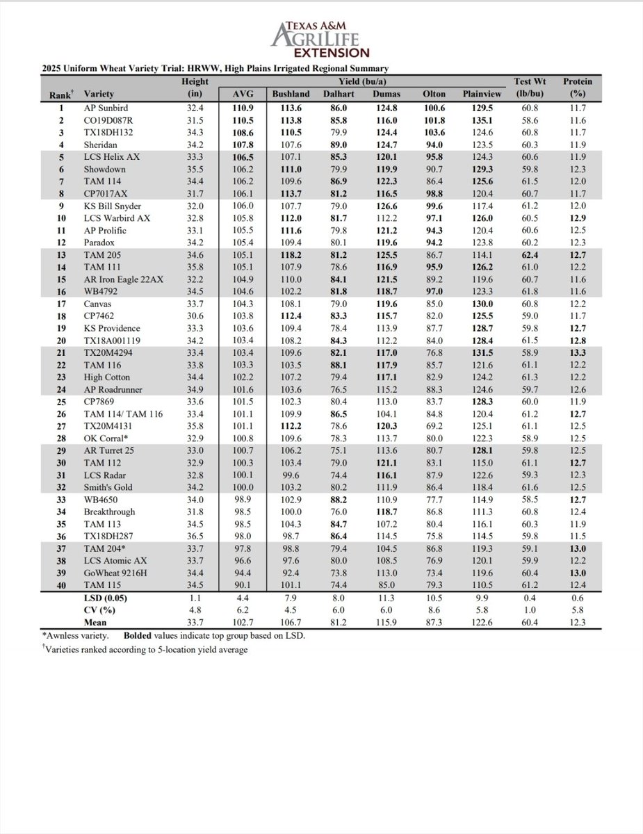 TAMU Small Grains Variety Testing Program tweet media