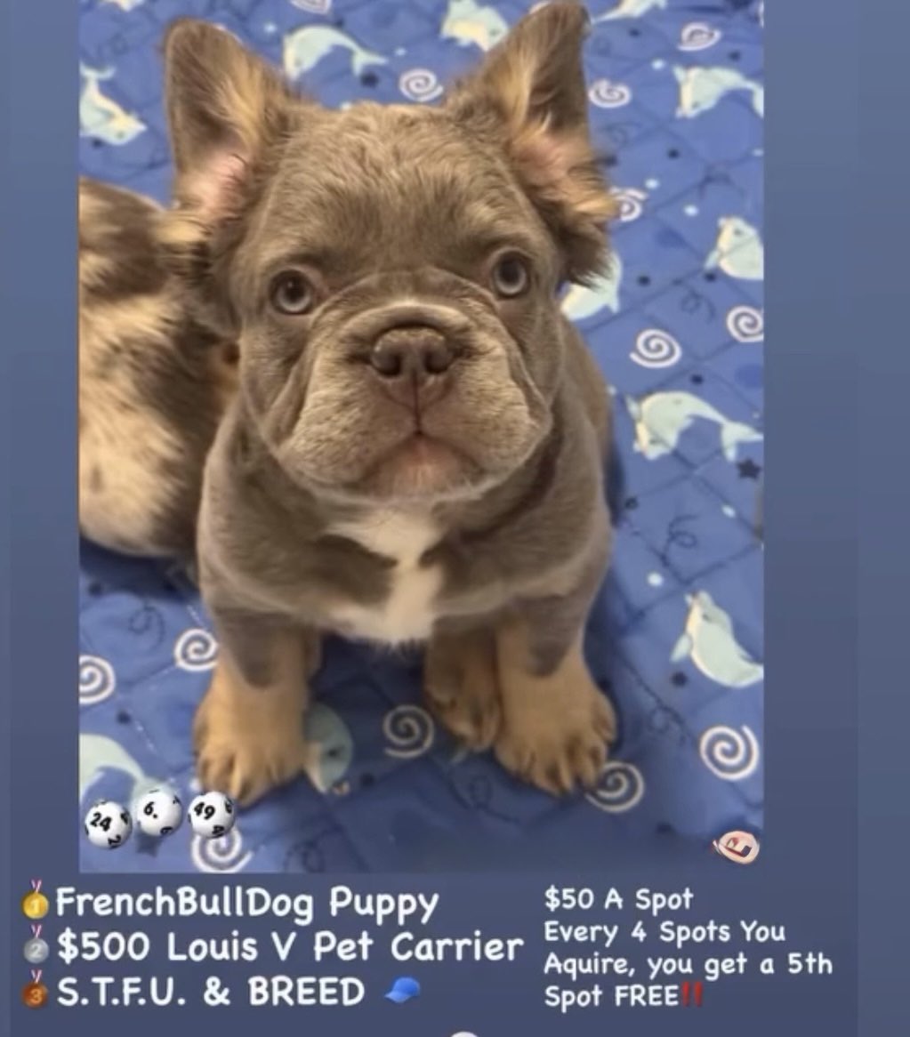 Bromar 📐 tweet media