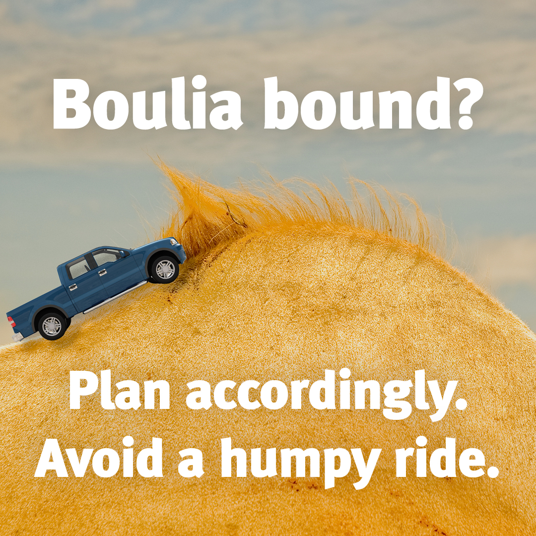 You can’t always back the winner, but you can back yourself. Heading to the camel races? Make sure you’re prepared for dust, wildlife, weather, fatigue and unsealed roads.