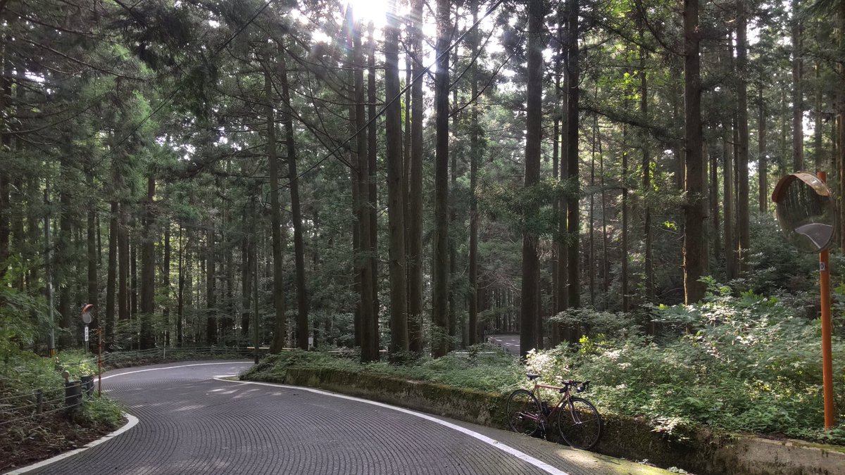 333回目の脊振山（1055m）
ロード11年でようやく
九州と言えど冬は凍結するし、雨や濃霧は日常的
脊振登坂愛好会会長は登頂1000回を目標にしているようだが（私のペースだと）あと20年はかかりそう⋯
もうチャリ乗り回している年齢じゃない
ジジイだよ！
#脊振山
#脊振登坂愛好会
#ヒルクライム